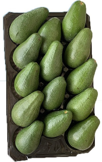 AVOKADO
